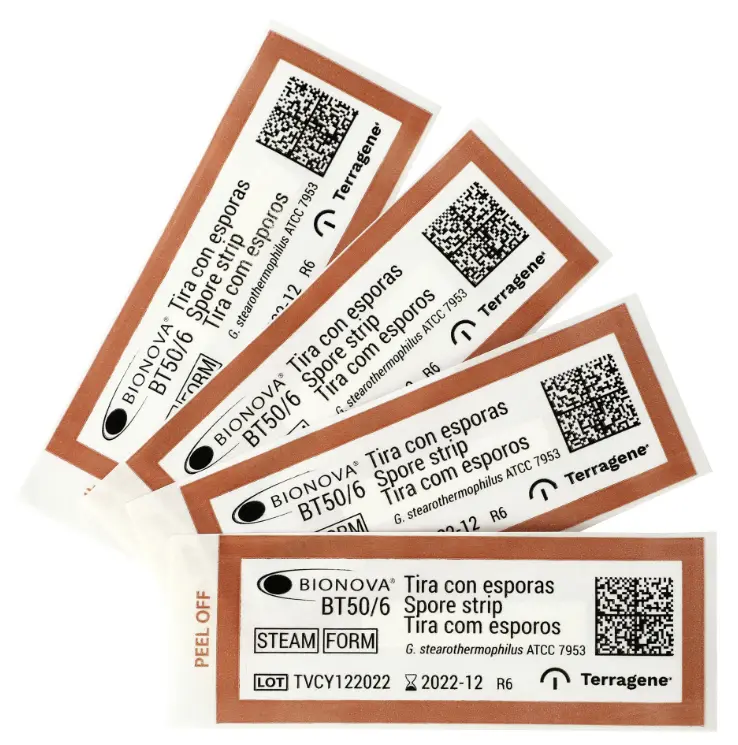TIRAS DE ESPORAS PARA STEAM Y LTSF. PRESENTACIÓN: PAQUETE CON 100 PIEZAS. MARCA TERRAGENE.